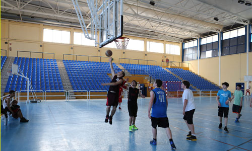 Basketball Camp
