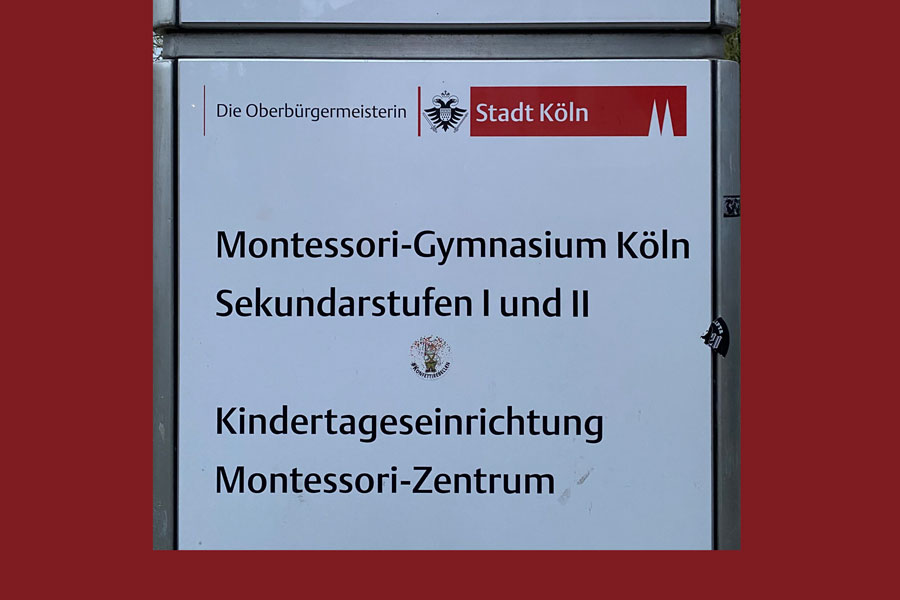 Basketball Halle